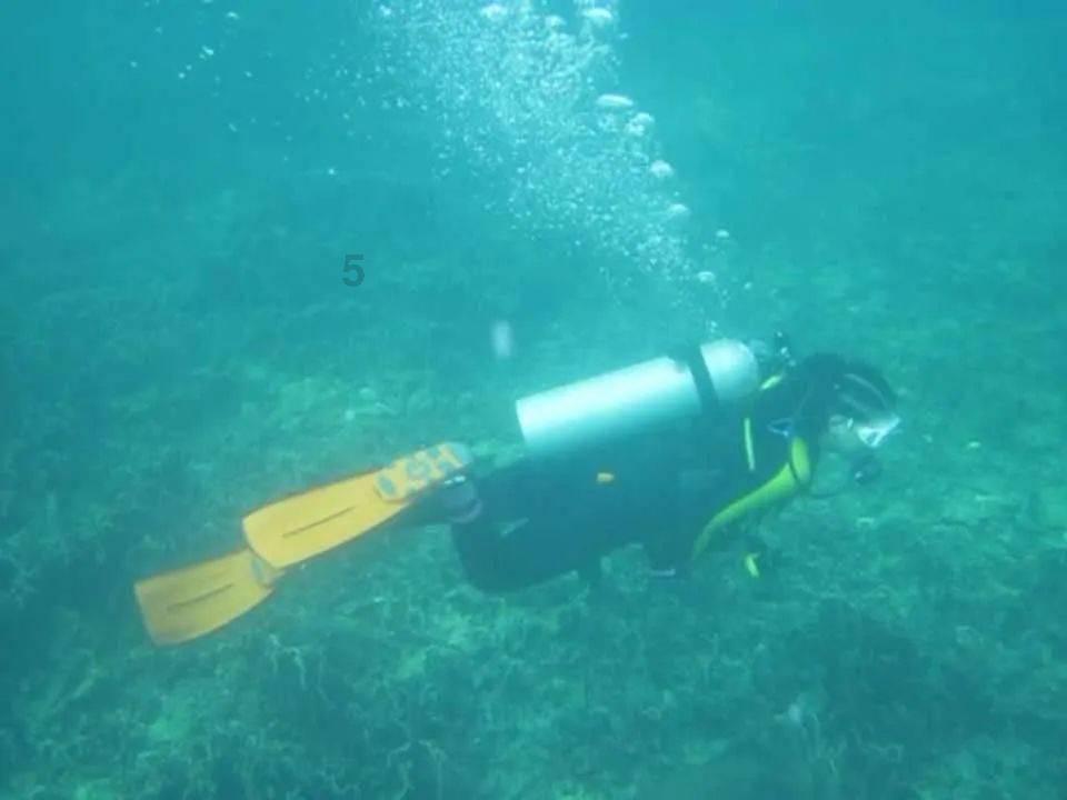 探讨交流-朝地上随意扔一根周长1米的环形软绳,绳子包围的面积平均能有多大?